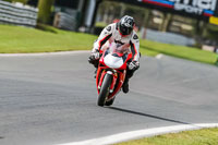 Oulton-Park-21st-March-2020;PJ-Motorsport-Photography-2020;anglesey;brands-hatch;cadwell-park;croft;donington-park;enduro-digital-images;event-digital-images;eventdigitalimages;mallory;no-limits;oulton-park;peter-wileman-photography;racing-digital-images;silverstone;snetterton;trackday-digital-images;trackday-photos;vmcc-banbury-run;welsh-2-day-enduro